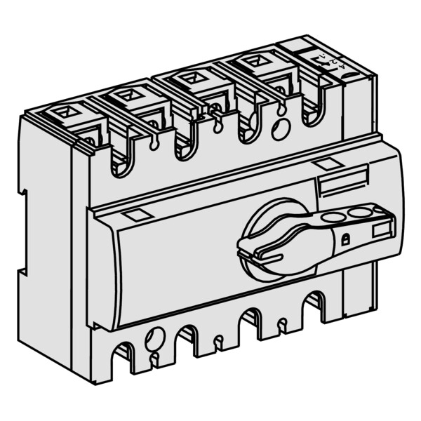 Schneider Electric Interrupteur sectionneur Interpact Ins125 3P 125 A - Schneider Electric - 28910