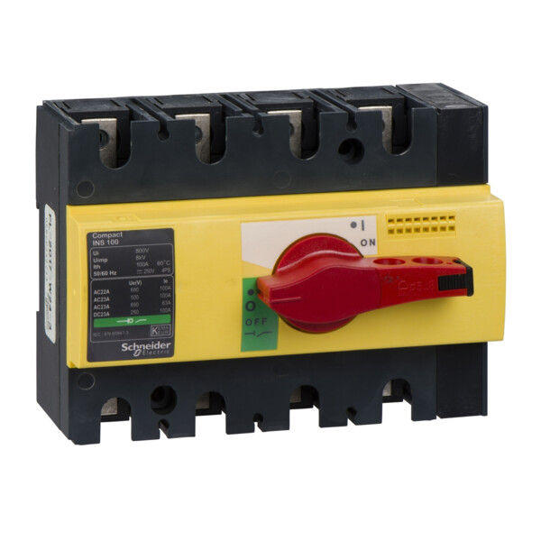 Schneider Electric Interrupteur sectionneur Interpact Ins100 4P 100 A - Schneider Electric - 28925