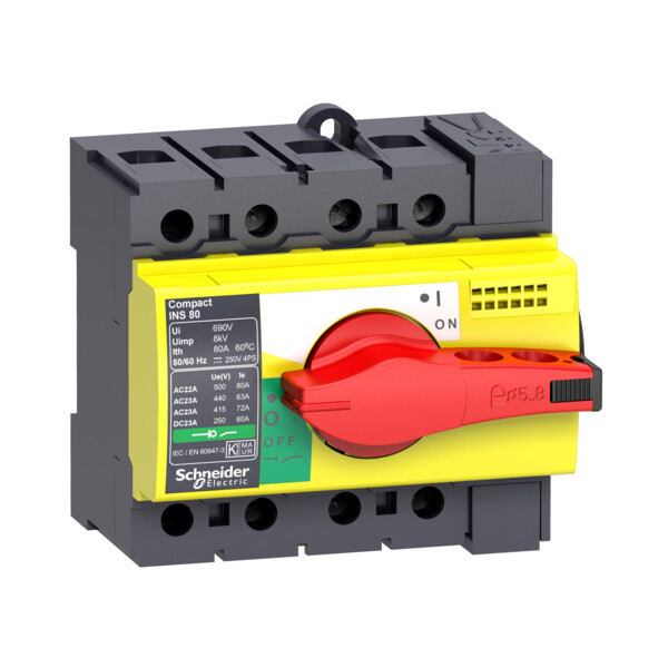 Schneider Electric Interrupteur sectionneur Interpact Ins40 3P 40 A - Schneider Electric - 28916