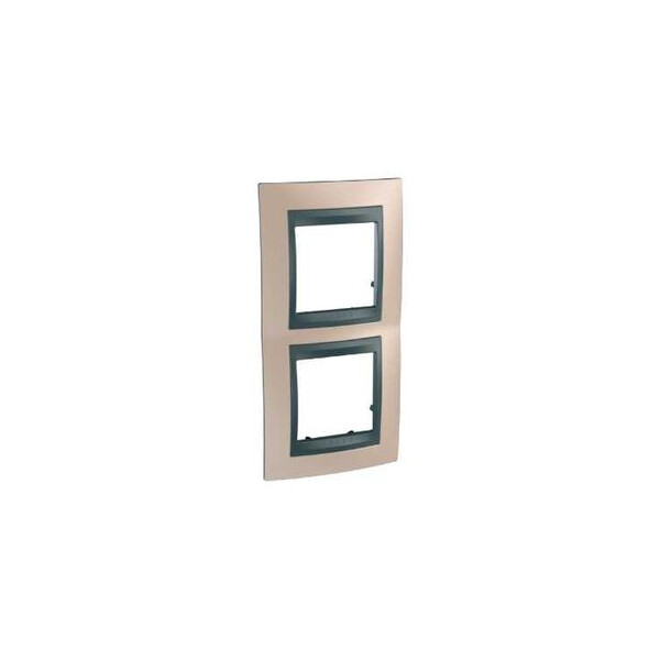 Plaque cuivre d'onyx liseré graphite Schneider Unica 2 postes 2x2 modules vertical - Schneider Electric - MGU66.004V.296