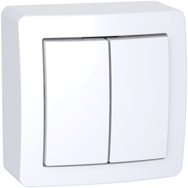 Double Va-et-Vient avec Cadre Saillie Blanc Polaire Alréa Schneider - Schneider Electric - ALB62056P