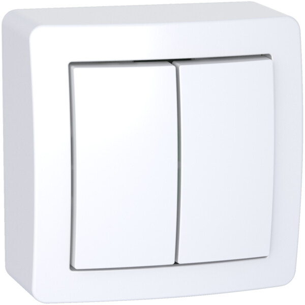 Double Va-et-Vient avec Cadre Saillie Blanc Polaire Alréa Schneider - Schneider Electric - ALB62056P