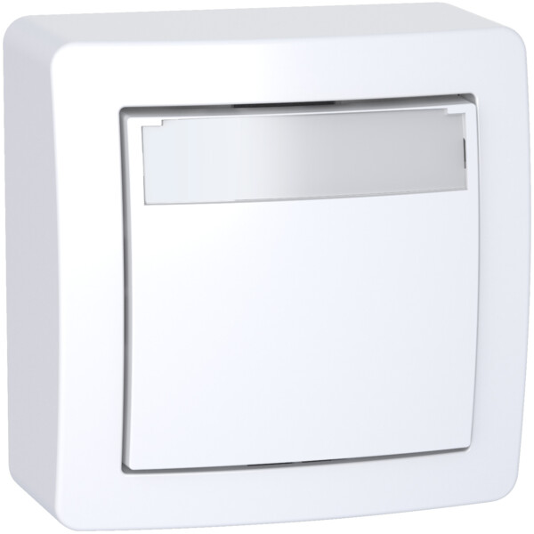 Alréa, poussoire avec porte étiquette avec cadre saillie, blanc polaire - Schneider Electric - ALB62062P