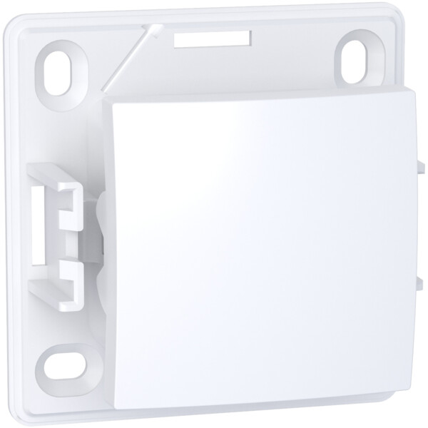 Alréa, Interrupteur bipolaire ou permutateur, blanc polaire - Schneider Electric - ALB61054P