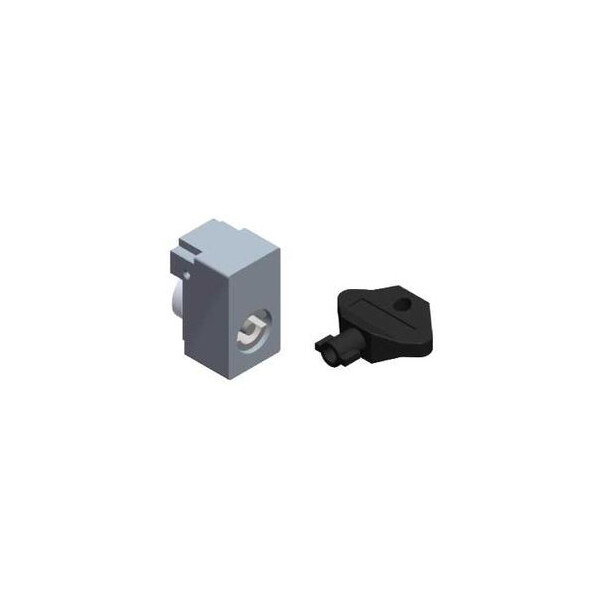 Insert triangle 10 pour poignée - Schneider Electric - NSYINT101