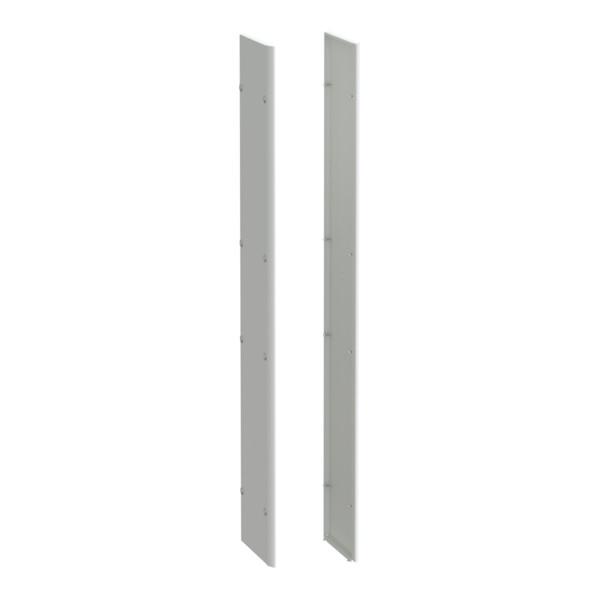 Prismaset p active - panneau latéral - ip30 - p400 - lot de 2 - Schneider Electric - LVS08750