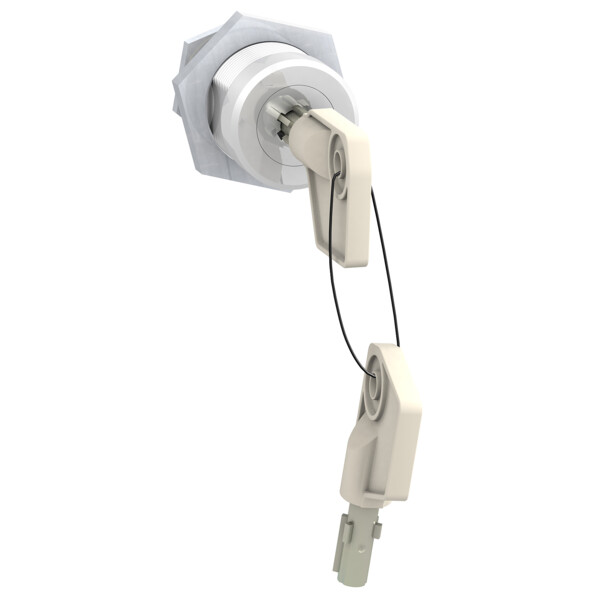 Serrures Ronis 1351500 pour NS100/630 Schneider Electric - Schneider Electric - 41940
