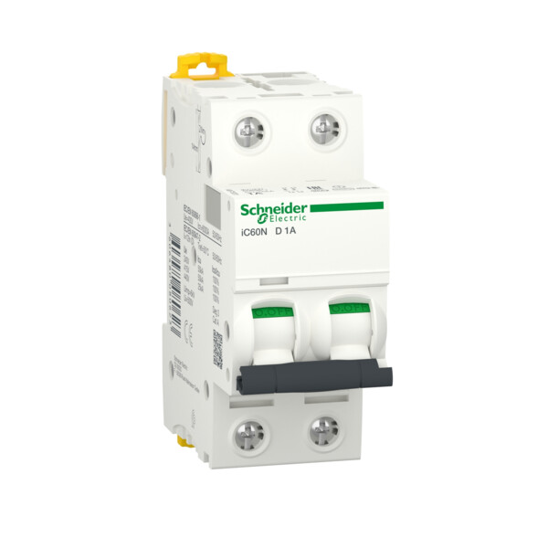 Disjoncteur 2P 1A Courbe D Acti9 iC60N Schneider - Schneider Electric - A9F75201