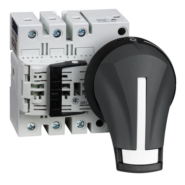 Bloc de Base Interrupteur sectionneur Fusible Gs1 3P 3 F Nfc 32 A - Schneider Electric - GS1DD3