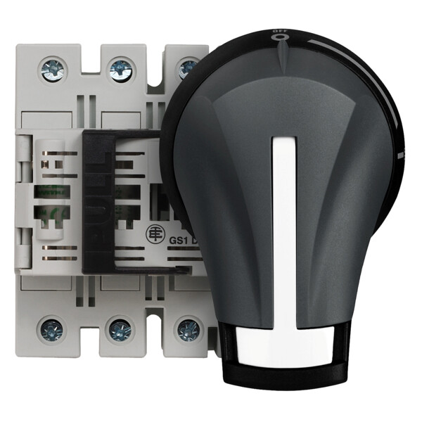 Bloc de Base Interrupteur sectionneur Fusible Gs1 3P 3 F Nfc 32 A - Schneider Electric - GS1DD3