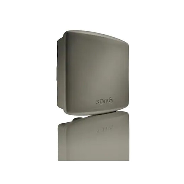 Récepteur accès compatible io - Somfy - 1841229