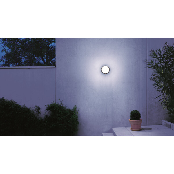 Verrine de rechange pour l 330 s / l 331 s - Steinel - 062965