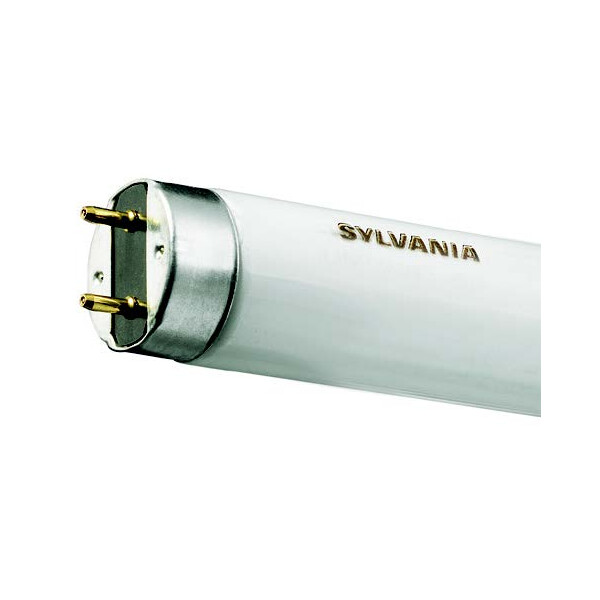 Fluo t8 standard (diam 26mm)
