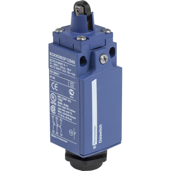 INTERR DE POSITION PLASTIC O ETO ET F   POUSSOIR GALET ACIER ET PE AZD1830 - Telemecanique Sensors - XCKN3903F12S66