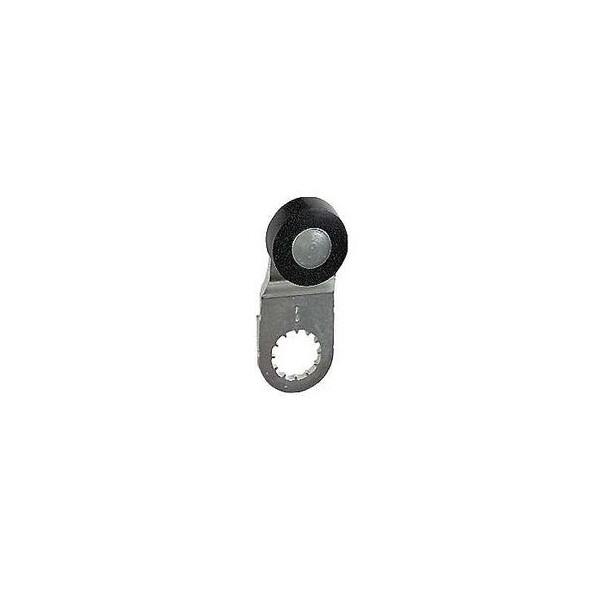 LEVIER GALET THERMOPLST   PISTE XX XCM YY XCKP - Telemecanique Sensors - ZCY18