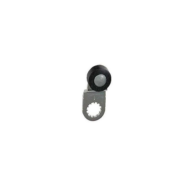 LEVIER GALET THERMOPLST   PISTE XX XCM YY XCKP - Telemecanique Sensors - ZCY25