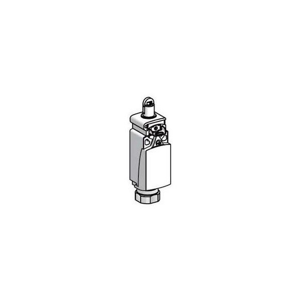 IDP PLAST REARM 2NC RB POUSSOIR GALET ACIER PG13 - Telemecanique Sensors - XCPR2902G13