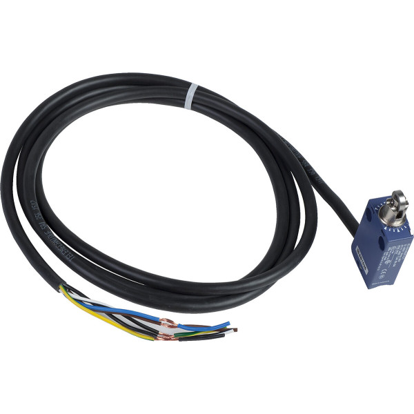 IDP OF TETE POUSSOIR GALET ACIER ASS - Telemecanique Sensors - XCMD2102L2