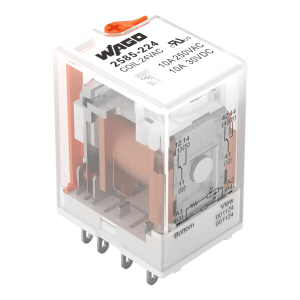 Relais 2 RT - 24 V AC - 6 A - Wago - 2585224