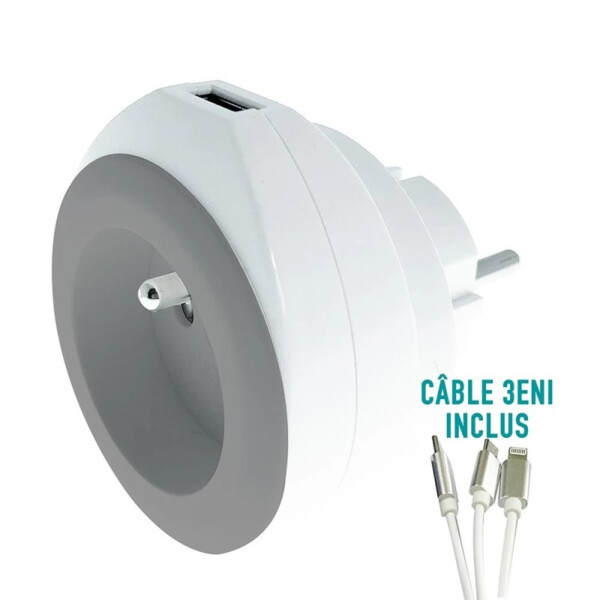 Chargeur usb 2.4a + 16a gris - Watt&co - CH220-USB-GR-B  
