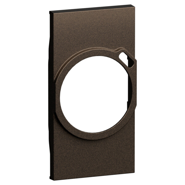 Prise de courant 2P+T+ USB-C 2 modules Bronze - Living Now - Arnould - BTKB63