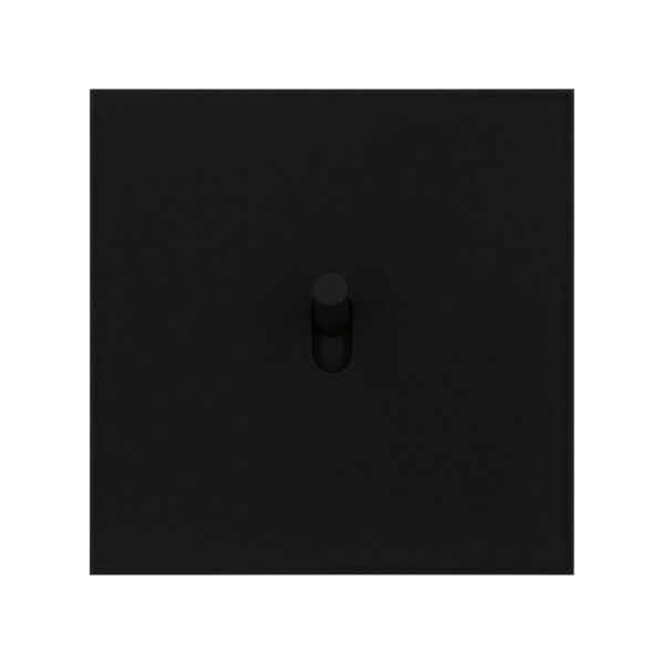 Art d'Arnould univers Epure va-et-vient ou interrupteur 10A - noir mat - Arnould - 67801