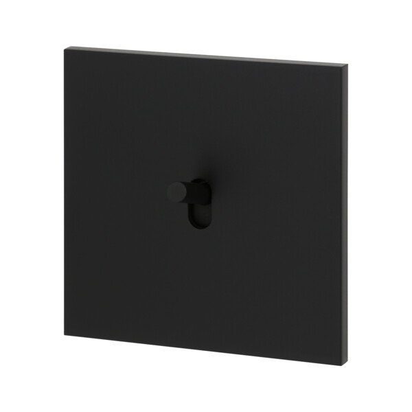 Art d'Arnould univers Epure va-et-vient ou interrupteur 10A - noir mat - Arnould - 67801
