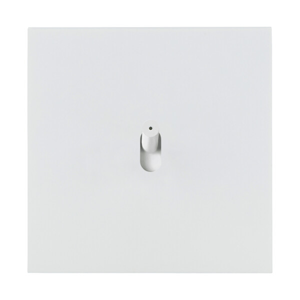 Poussoir à levier lumineux 6a à voyant 230v Arnould ART épure blanc satin - Arnould - 67917