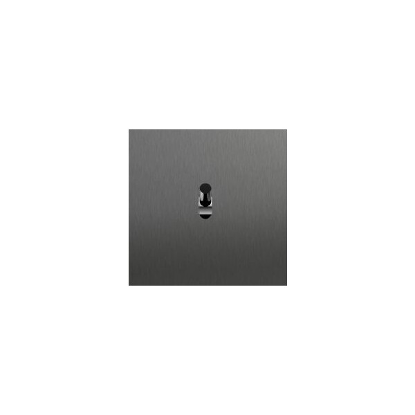 Plaque Epure Va-et-vient canon de fusil brossé - 2DK01FN74 - Arnould - 8713