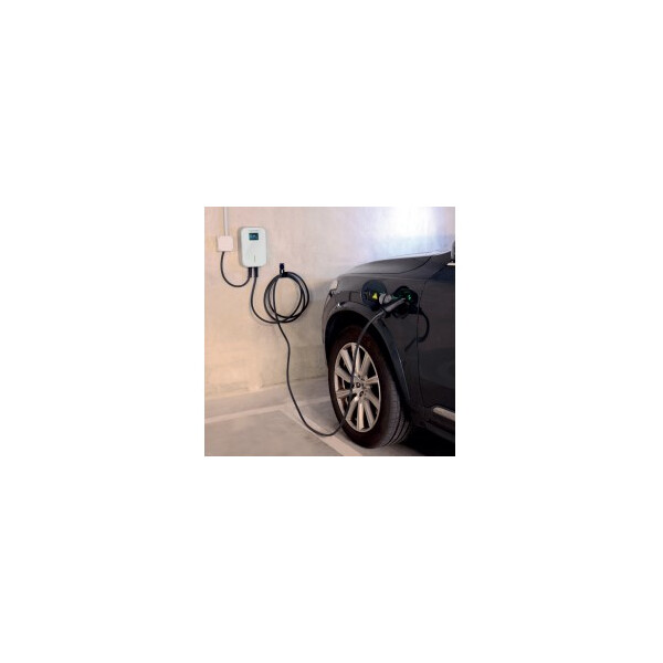 Borne de recharge pour véhicule électrique usage domestique câble de 6 mètres - Avidsen - 370900