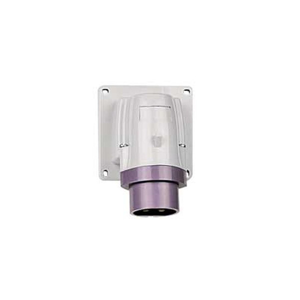 Mauve 20/25 v~