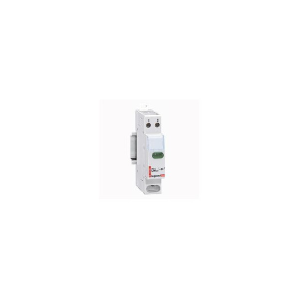 Voyants - 250 v~