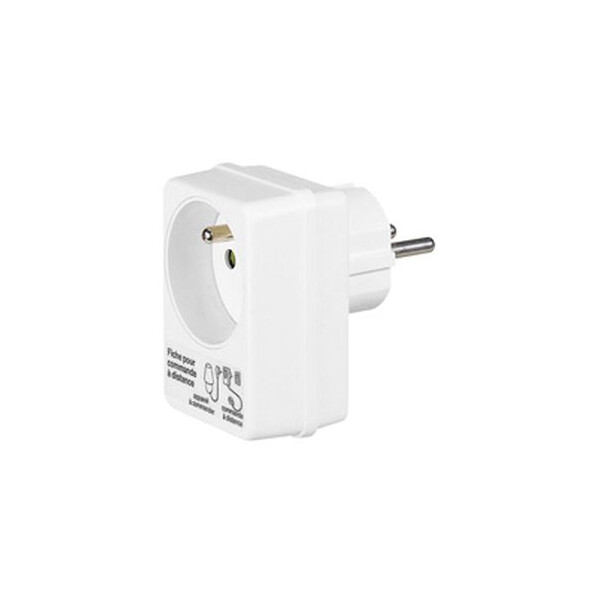 Fiche pour commande déportée 16 a avec éclips de protection