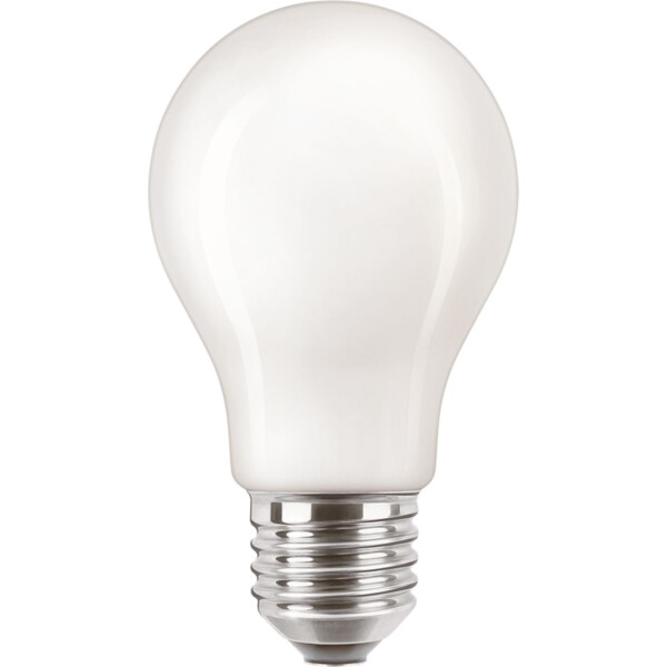 Bulbs - b-brand & pl