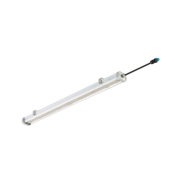 Pacific led performer