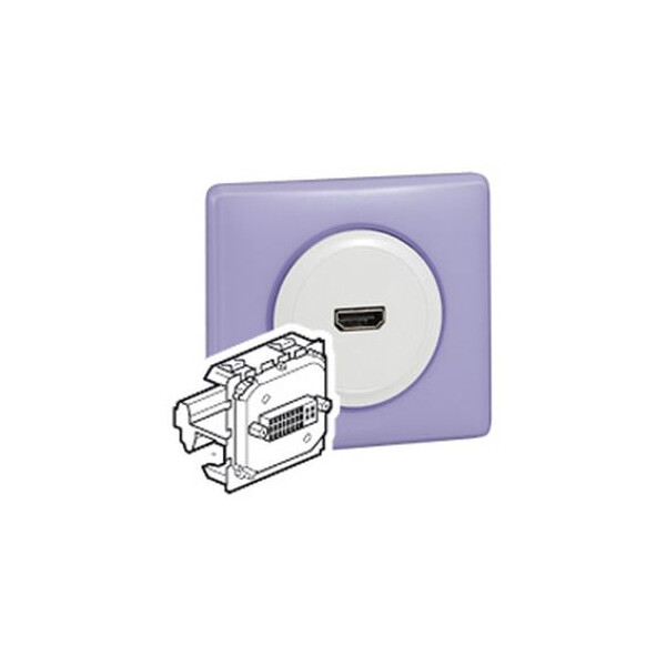 Prise dvi-i