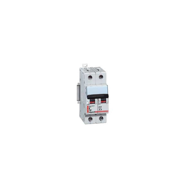 Disjoncteur magnéto-thermique DX 6000 - Lexic à vis - 2P - 230/400 V~ - 50 A - courbe C - Legrand - 006473