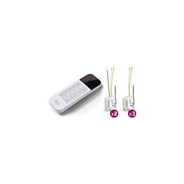 Delta Dore Pack Tyxia 530 Pack centralisation volets roulants + éclairages - Delta Dore - 6351176