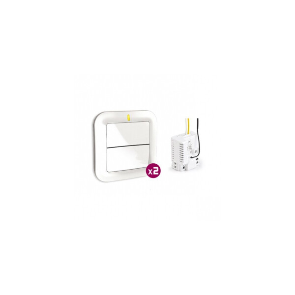 Delta Dore Pack Tyxia 610 Récepteur en saillie 1 ou 2 contact(s) - Delta Dore - 6351383