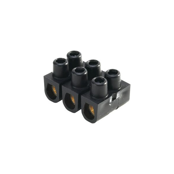 2 PLOTS 16 MM² - NOIR - Ebenoid - 086860
