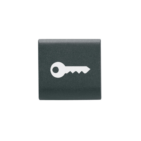 Touche Interchangeable 'clÉ' Noire - Gewiss - GW12543