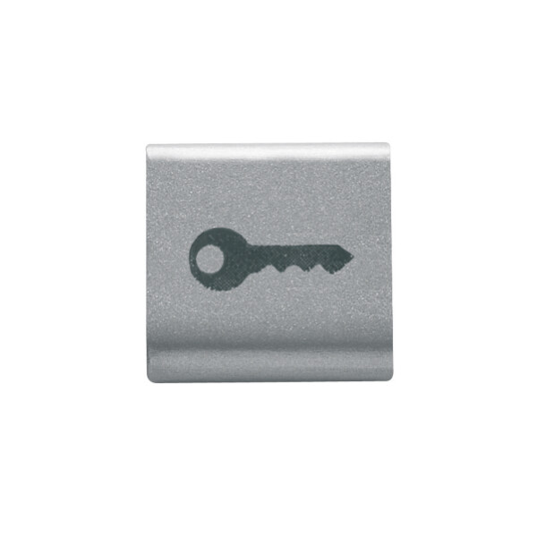 Touche Interchangeable ''clÉ'' Titane - Gewiss - GW14543