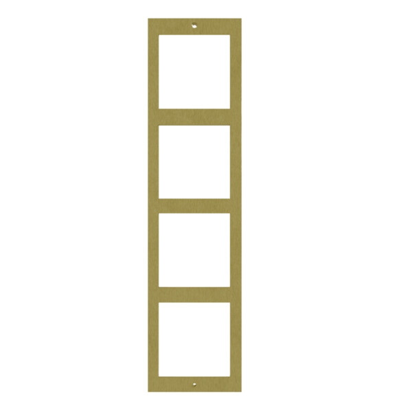 Platine nexa inox gold  audio/vidéo gb2/g2p