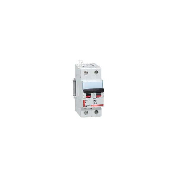 Disjoncteur magnéto-thermique DX 6000 - Lexic - 2P - 400 V~ - 32 A - 15 kA - courbe D - Legrand - 006636