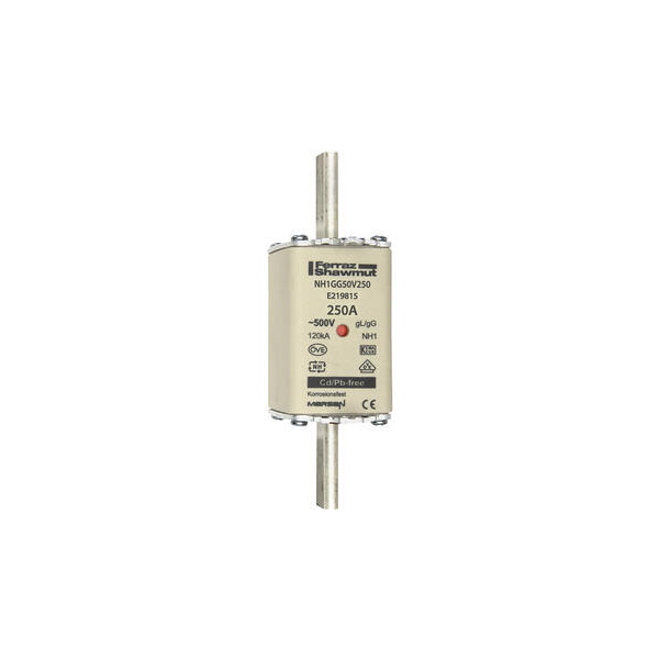 Fusible nh1 gg 250a - indicateur - 500v - Mersen - Ferraz - E219815