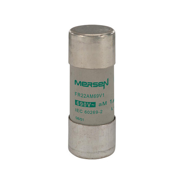 Cartouche fusible Mersen type aM 10A sans indicateur 22x58 mm 690V - Mersen - Ferraz - M219776