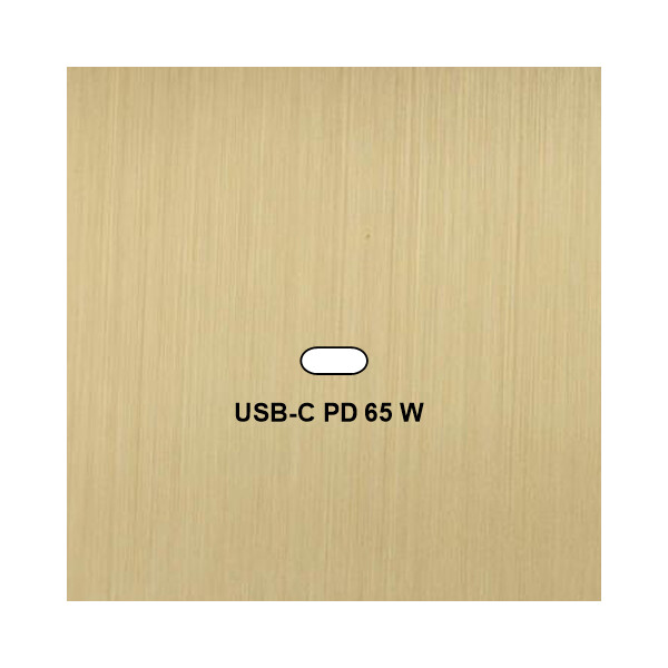 Façade Empreintes PLAN Laiton Satiné Simple USB Power Delivery, magnétique - Modelec - 200479M-E0