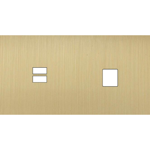 Façade Empreintes PLAN Laiton Satiné Double Horizontale Chargeur USB Média, mag - Modelec - 256479M-E0