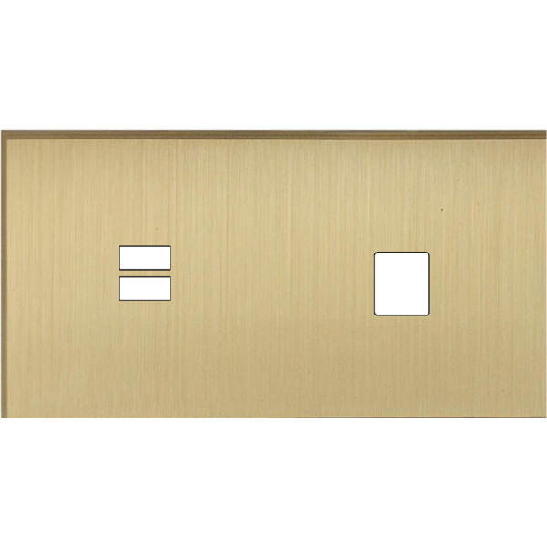 Façade Empreintes ANGLE Laiton Satiné Double Horizontale Chargeur USB Média, mag - Modelec - 256479M-E2