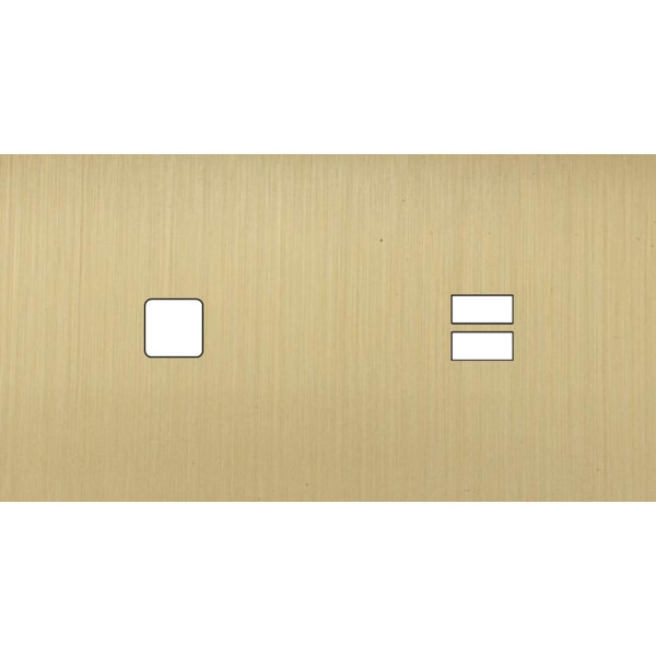 Façade Empreintes PLAN Laiton Sat Double Horiz 1 bouton carré Chargeur USB M - Modelec - 275479M-E0